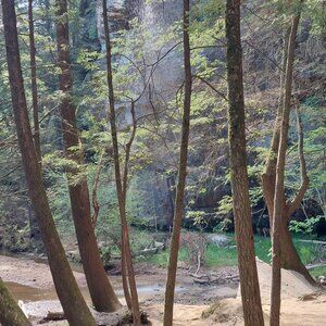 Meet your Posher, Dirk